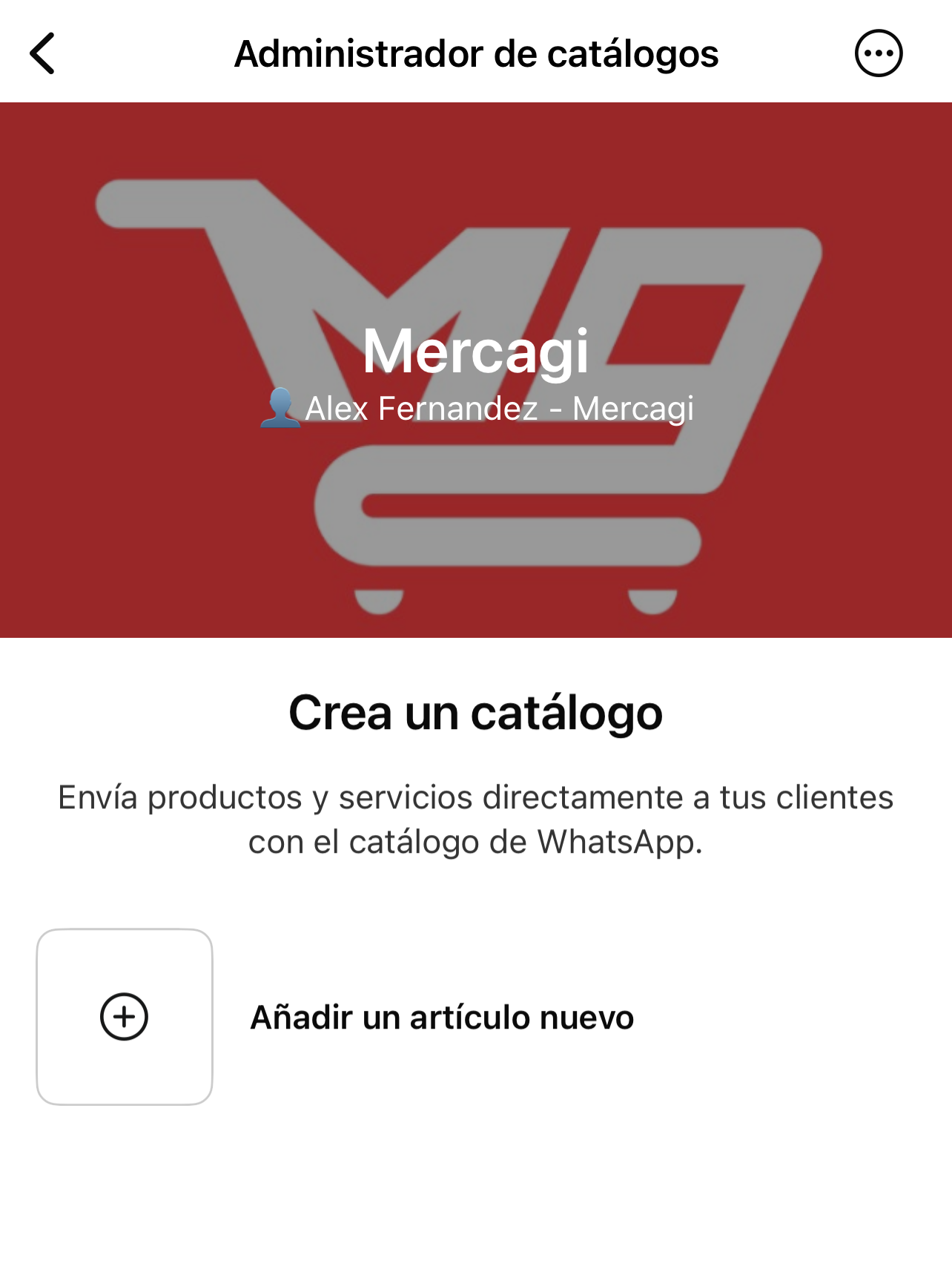 Paso 3: 'Añadir un artículo nuevo'